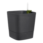 greensense aqua care vierkant 38cm houtskoolgrijs